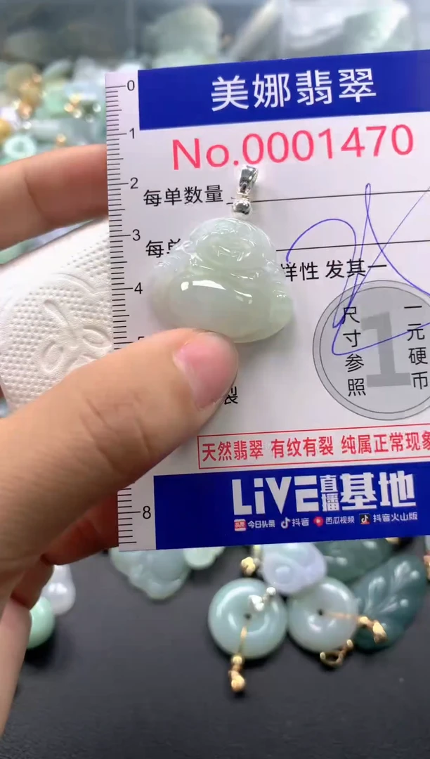 颈饰未镶嵌翡翠1470