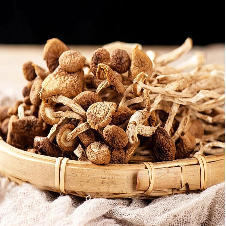 贵州干货特产黔南山茶树菇菇农家食用菌干货炖汤食材菌菇