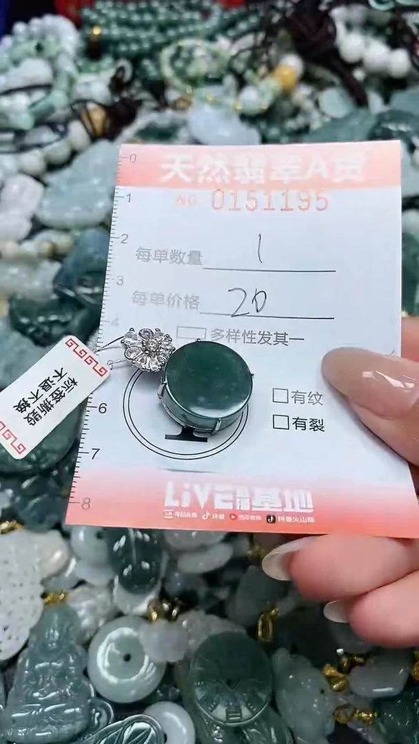翡翠未镶嵌颈饰闪购0151195
