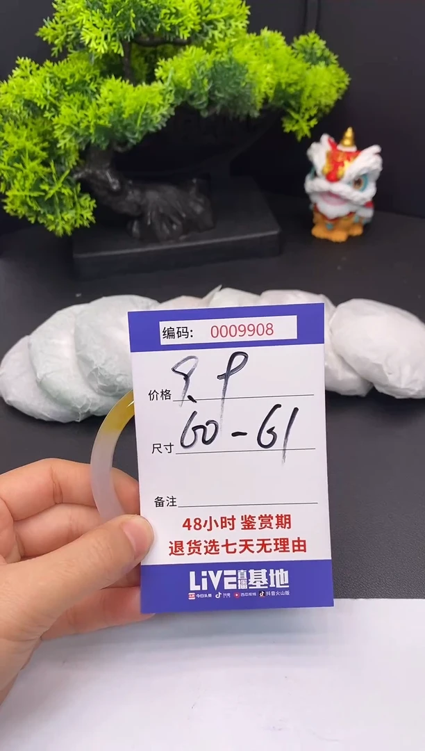 未镶嵌手镯翡翠0009908