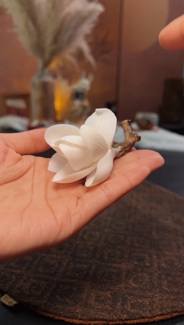 瓷片 请输入需要关联的品牌