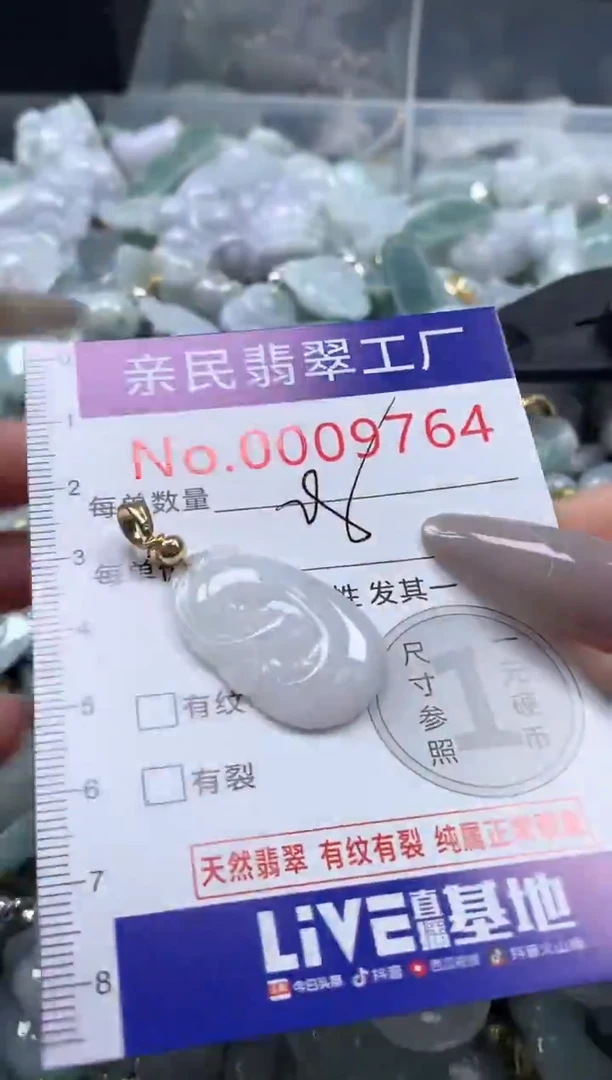 颈饰未镶嵌翡翠9764