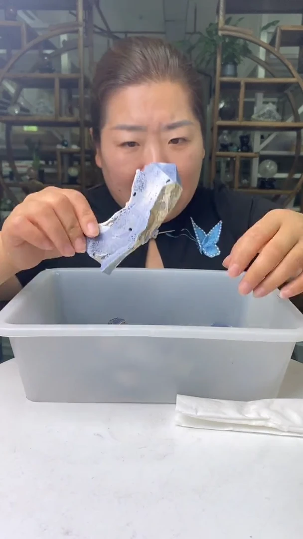 硅化珊瑚（珊瑚玉）原石未镶嵌珊 瑚玉D173多样性发其一