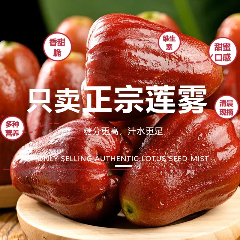 黑金刚莲雾大果盒装1000g