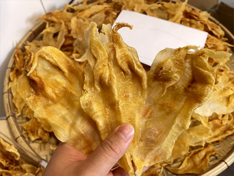 41头，微瑕疵，北海鳘鱼公胶 日常滋养鱼胶500g