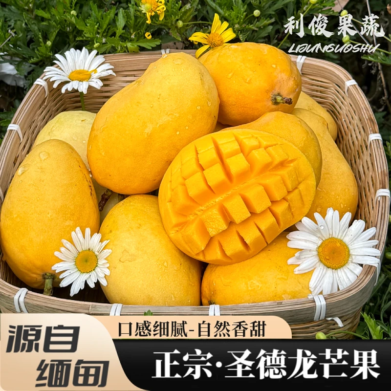 云南缅甸圣德龙芒果盛德隆钻石鹰嘴小鸡芒果保山特产水果整箱顺丰