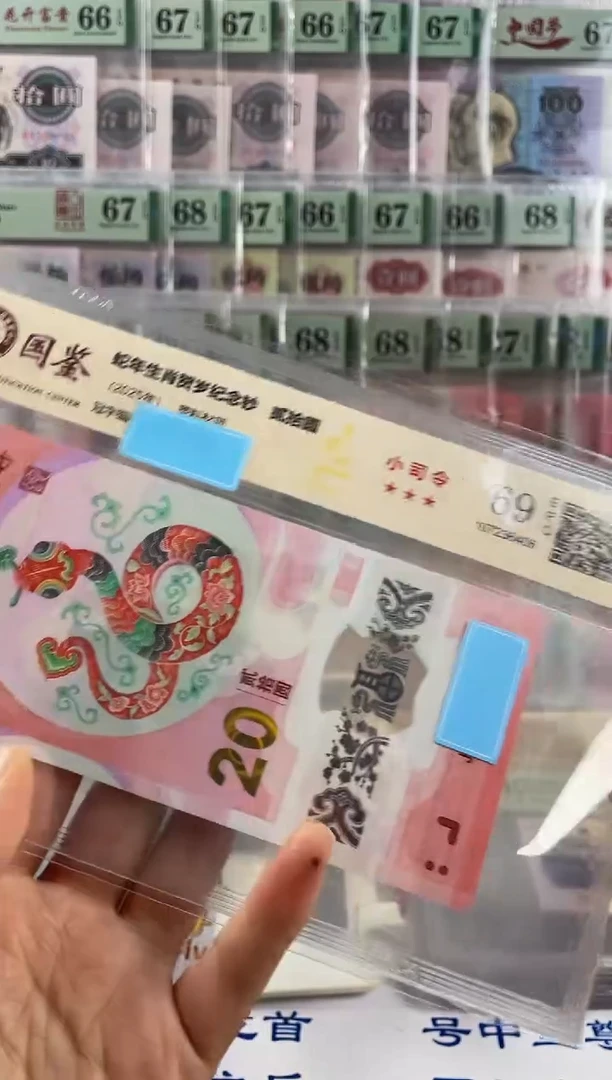 蛇副司令69分不挑号随机发