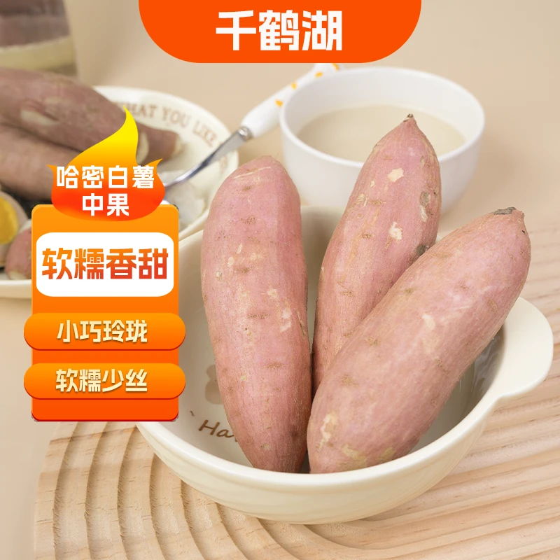 【千鹤湖】冰糖心白蜜薯红薯白心软糯香甜烤地瓜种植中果特色