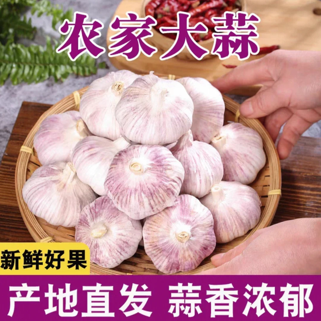 干蒜大蒜头正宗云南紫皮大蒜农家嫩蒜腊八蒜独头蒜多瓣蒜