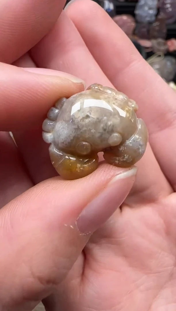 颈饰未镶嵌硅化珊瑚（珊瑚玉）517