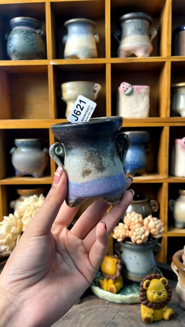 621内口5【多肉花盆多肉盆】