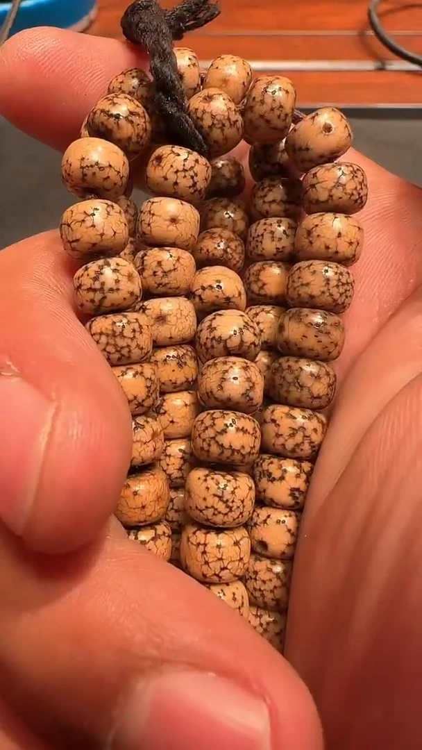 星月念珠星月念珠