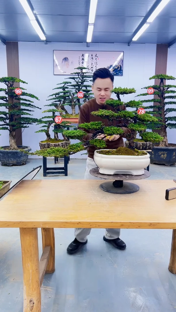 无花朵0000000000000000000000