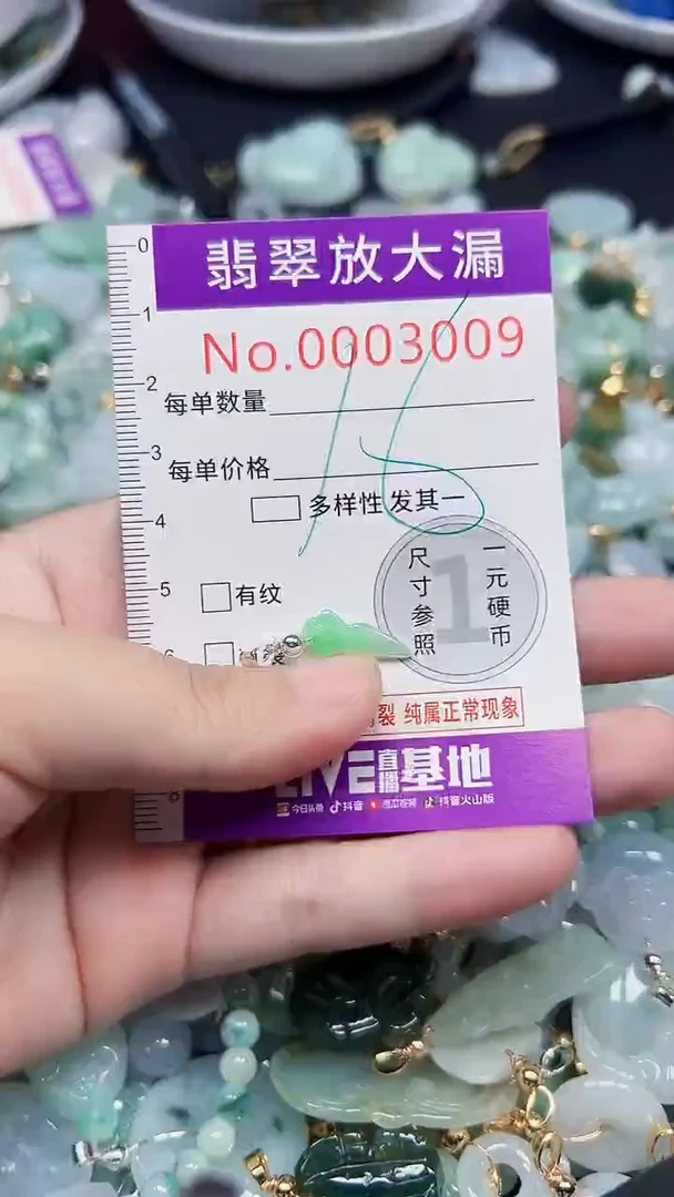 颈饰未镶嵌翡翠3009