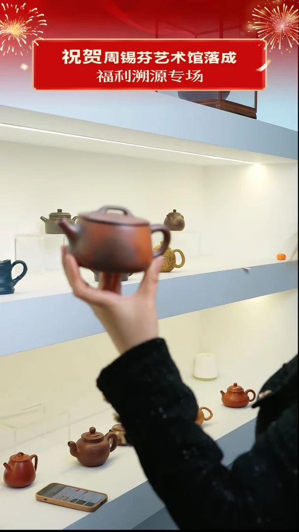 茶壶紫砂26 蟹黄段柴烧 平盖石瓢