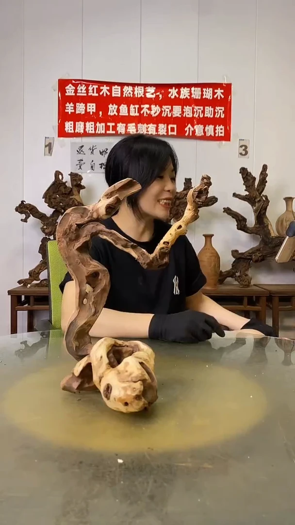 香榧木苏**！金丝红木   羊蹄甲