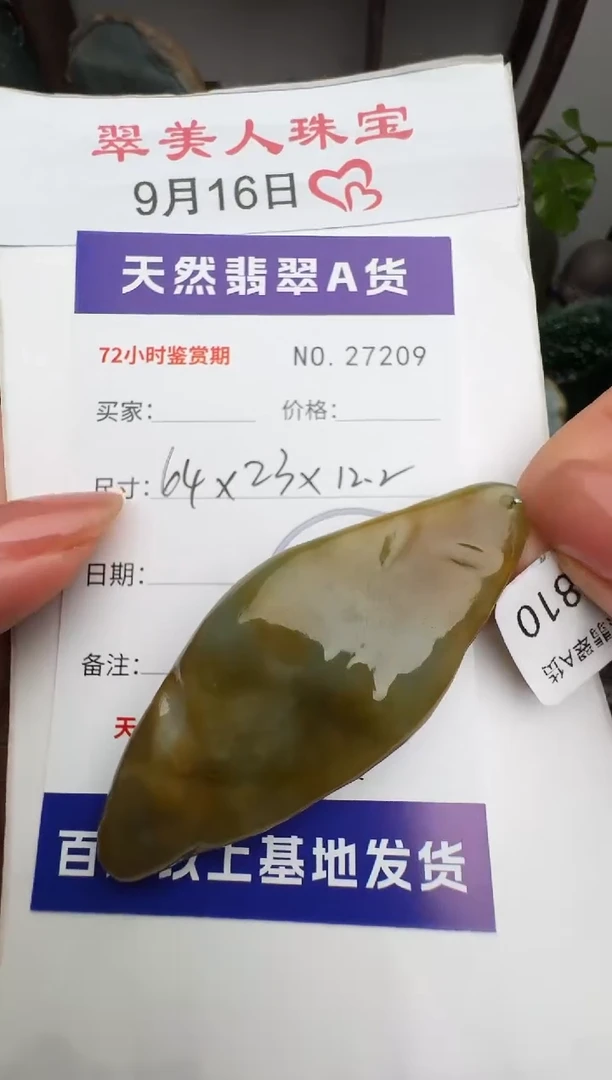 颈饰未镶嵌翡翠原石27209
