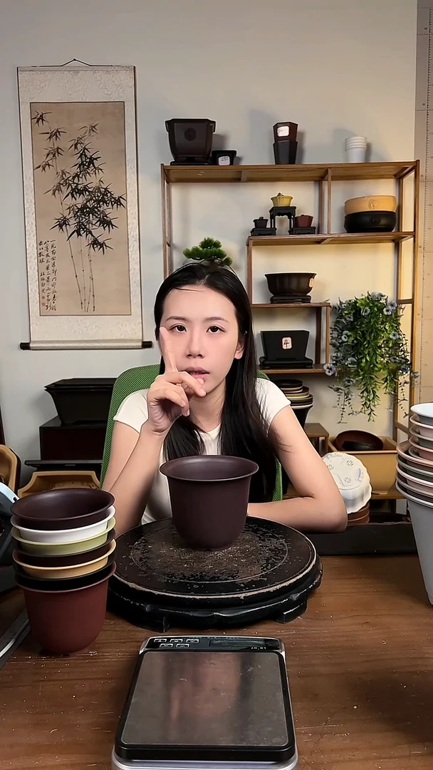 10只15口径金钟紫檀色