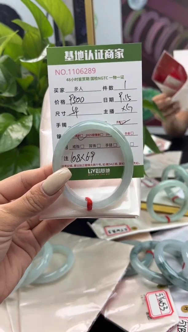 未镶嵌手镯（贵妃镯）翡翠多人
