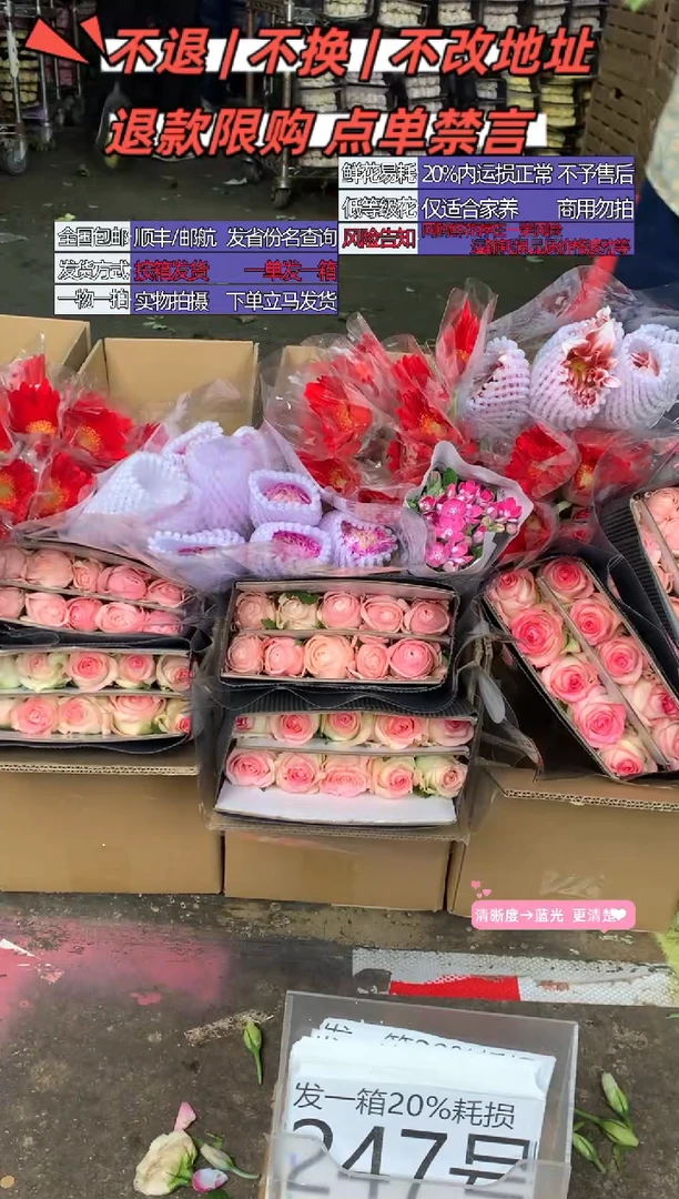 247号♥含20%耗损发一箱