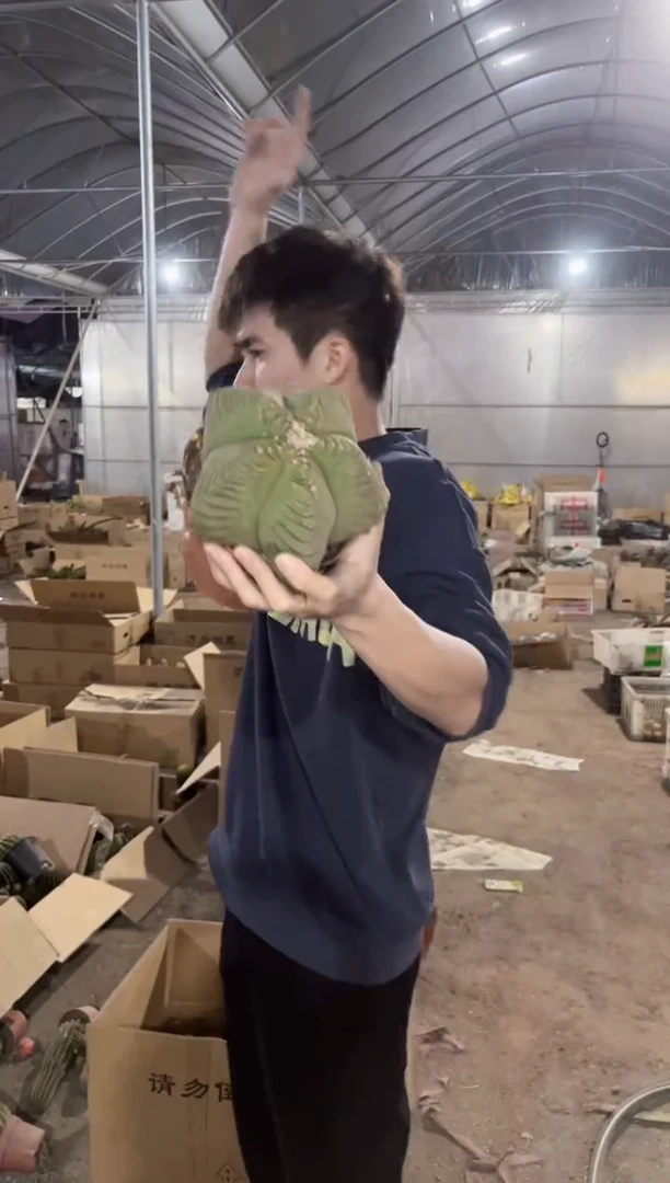 【闪购商品】大号 鸾凤玉 8-10cm