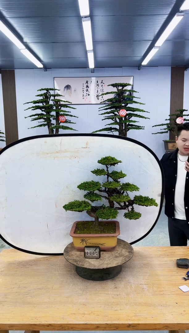 以实际为准0000000000