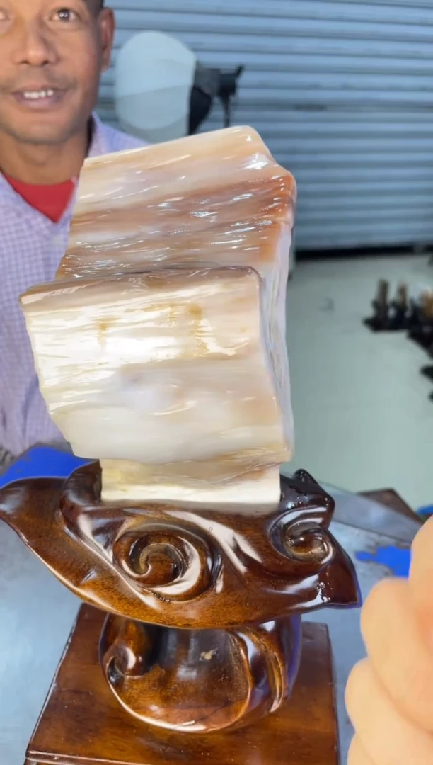 未镶嵌摆件硅化玉17