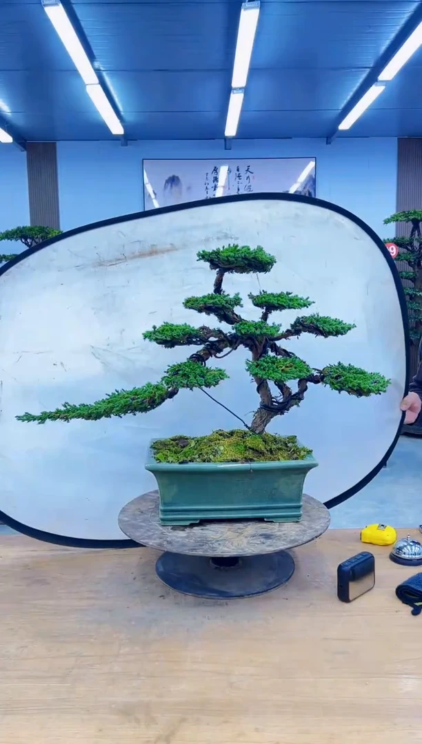 以实际为准000000