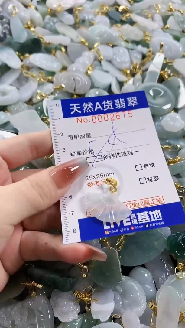 颈饰未镶嵌翡翠天然A货翡翠