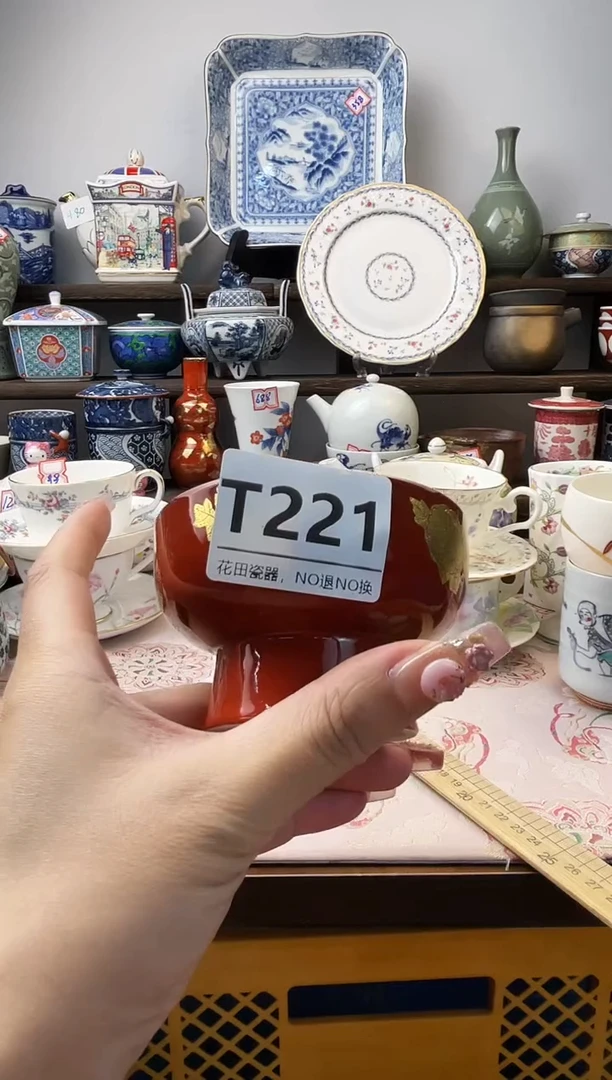 瓷片燕**琴T221不退不换.感谢理解