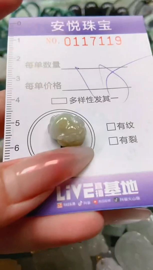 【闪购商品】翡翠颈饰未镶嵌闪购0117119