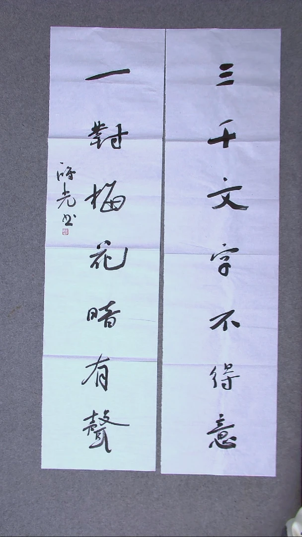 书法郭鸿光银川八平尺138*34*2