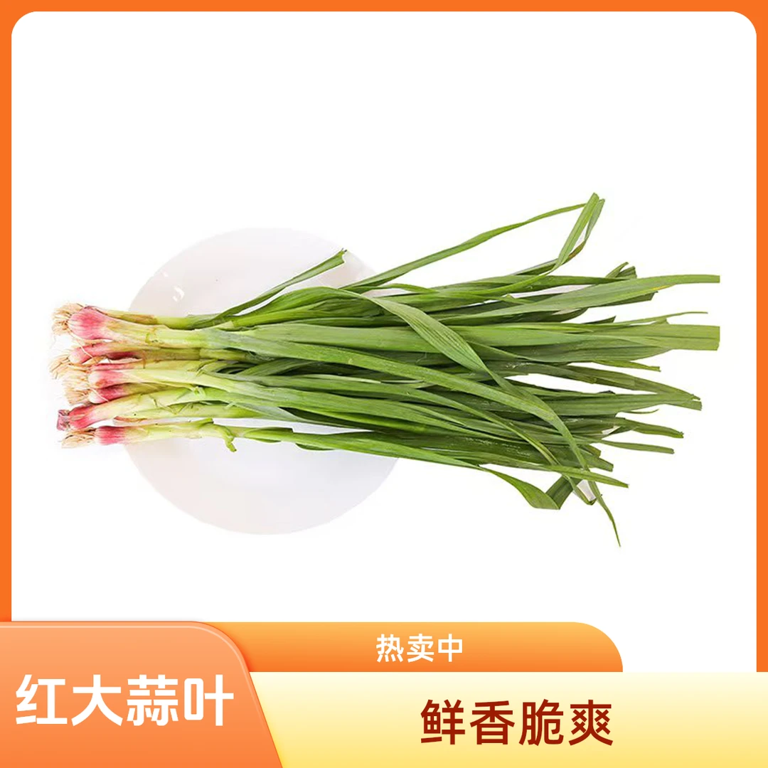 红大蒜叶0.2斤