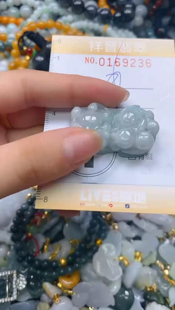 翡翠未镶嵌颈饰闪购0169236