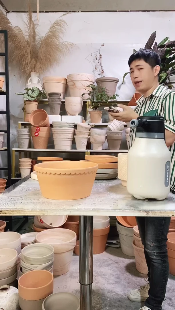 22*10红陶矮盆 1盆无托