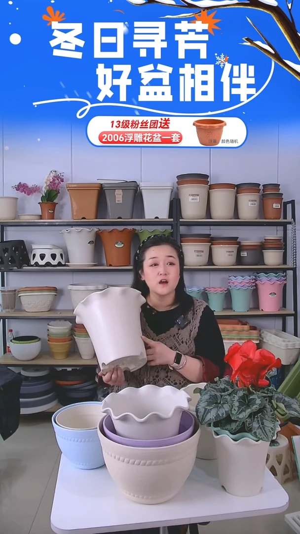 荷叶边5004米白2套带托盘