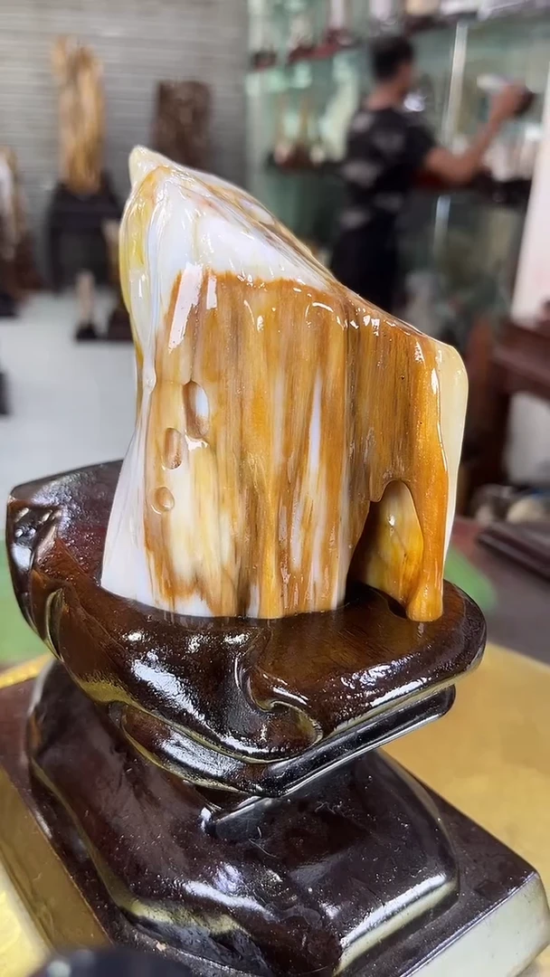 硅化玉珠宝奇石未镶嵌缅甸天然树化玉摆件