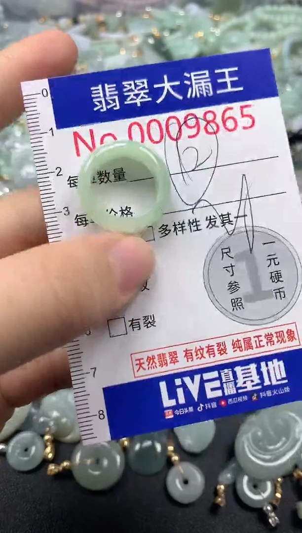 翡翠未镶嵌吊坠(不含链)9865