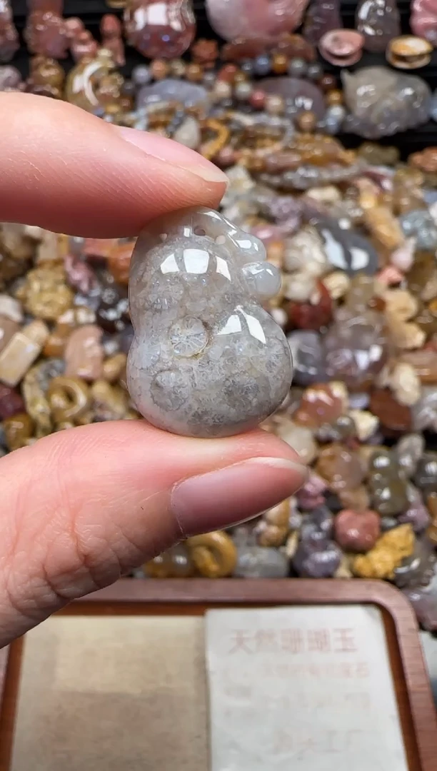 颈饰未镶嵌硅化珊瑚（珊瑚玉）046