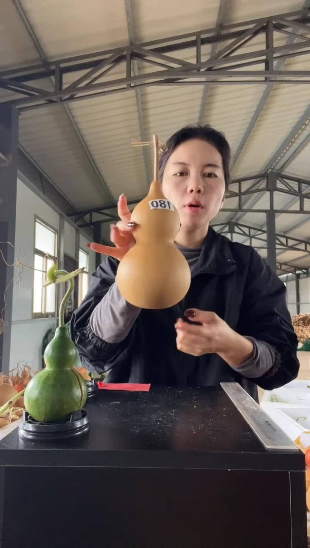 唐***儿180天然葫芦摆件 一物一拍龙头不保售后