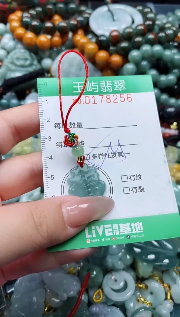 翡翠未镶嵌颈饰闪购0178256多样性发其一