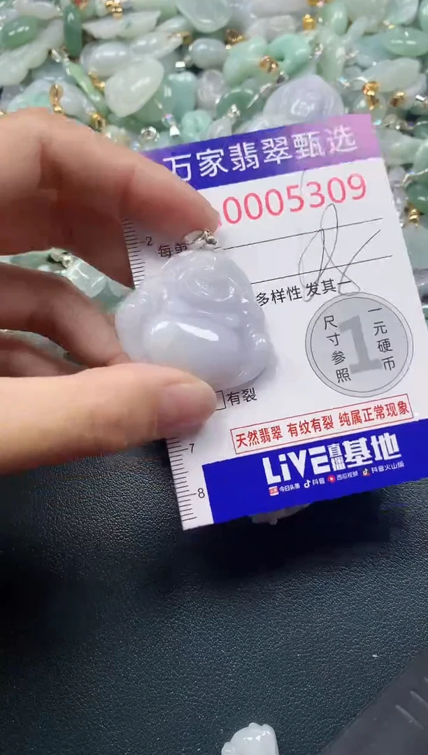 吊坠(不含链)未镶嵌翡翠5309