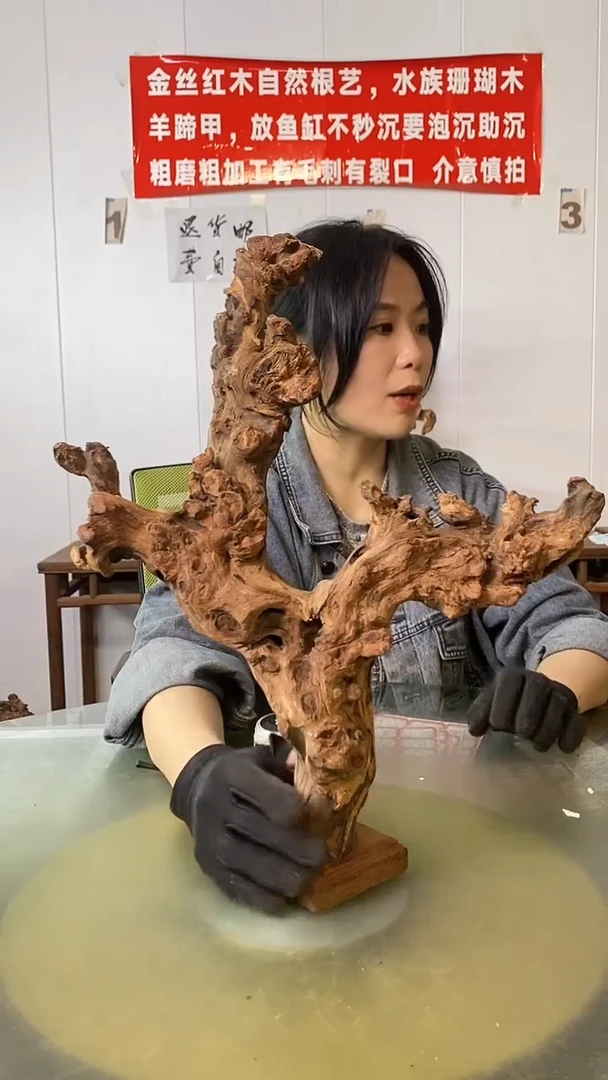 木何*金丝红木 羊蹄甲