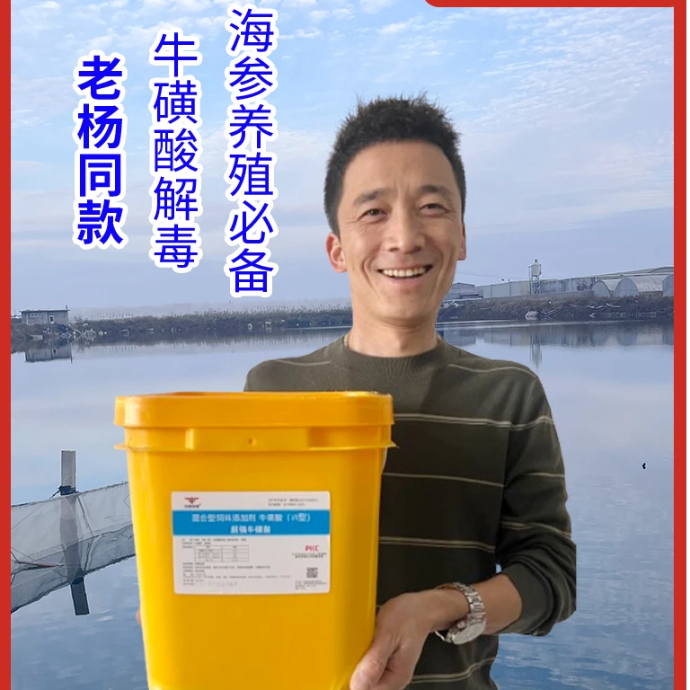 中际联盟老杨同款超强牛磺酸调海参状态促进海参下礁水产海参适用