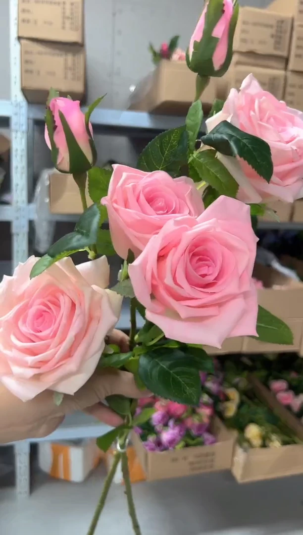 2枝浅粉手感保湿可可香