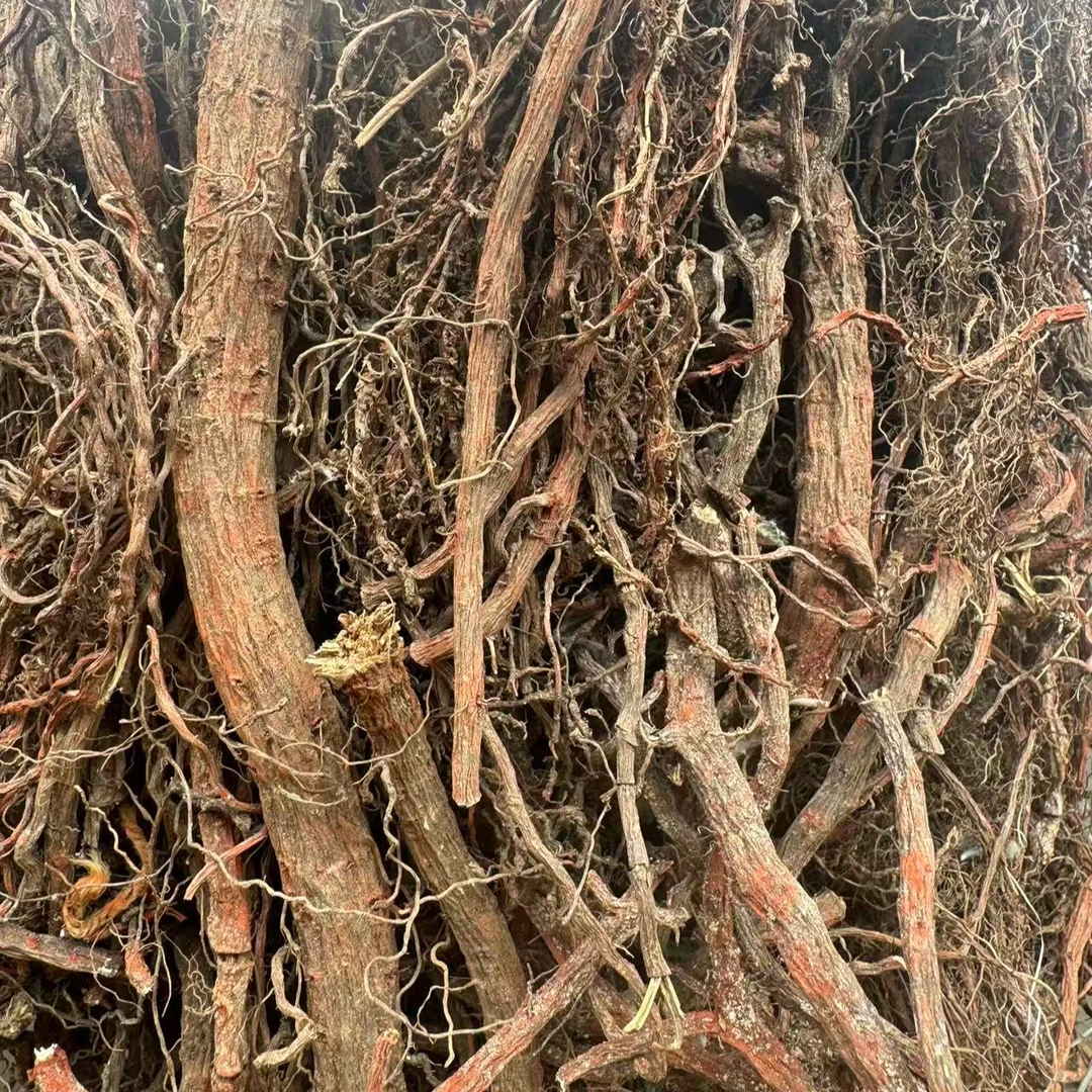 2025新【郑书记助农】血参根野生丹 参纯天然农户自挖无硫