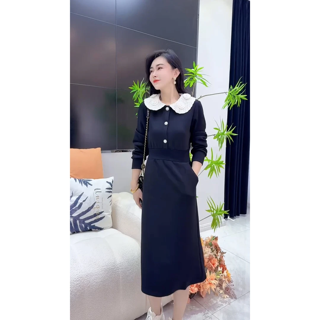 2025秋季简约休闲时尚百搭洋气减龄修身显瘦气质中长款女装连衣裙