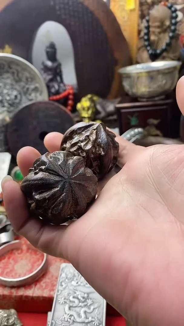 木------主播推荐-------