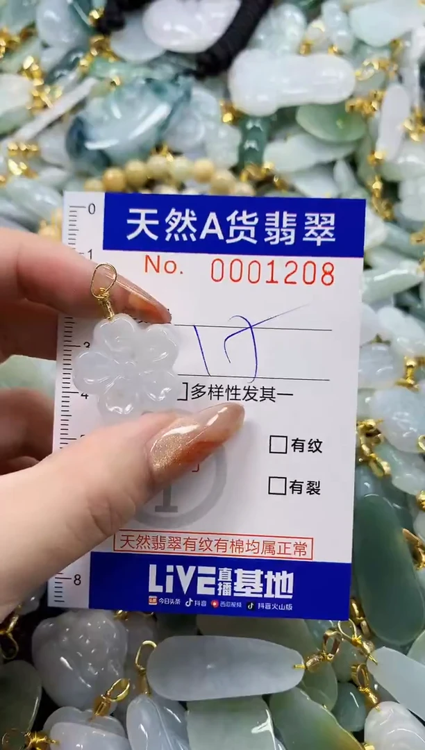 颈饰未镶嵌翡翠天然A货翡翠