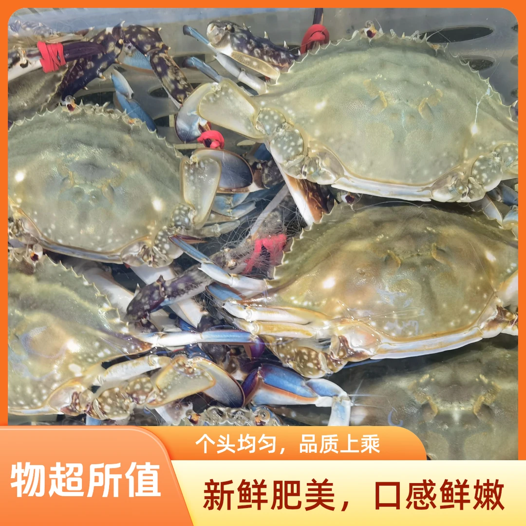冻梭子蟹49.8元2斤一只4两左右